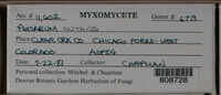 Image Associated With the Occurence